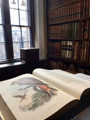 An open book in a library of Oxford as part of the literary walking tour.